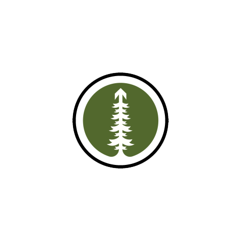 Sequoia Tree